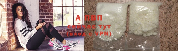 стаф Бородино