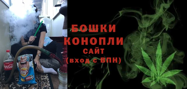 стаф Бородино