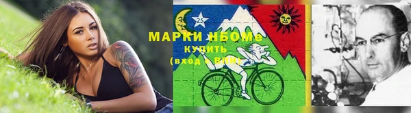 стаф Бородино