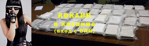 стаф Бородино