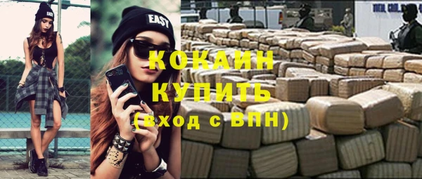 стаф Бородино