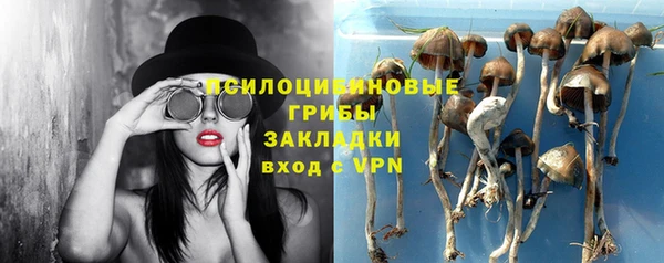 трава Бугульма